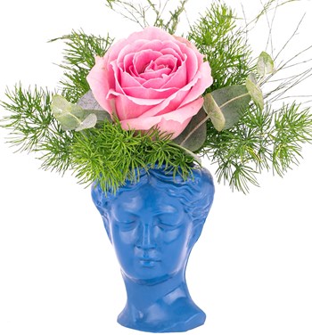 pembe gül fiyatları