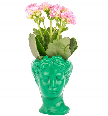 Mini Helen Serisi Kalanchoe Tasarım - Yaprak Yeşili