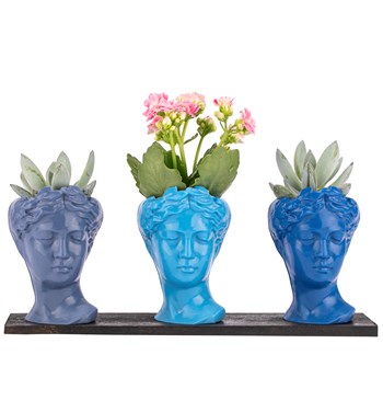 helen saksı fiyatı