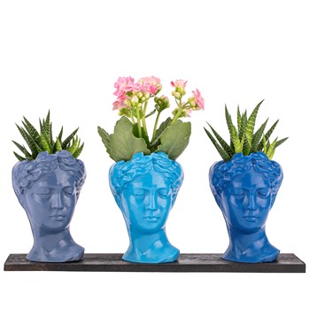 Trio Mini Helen Serisi Kalanchoe ve Haworthia Tasarım