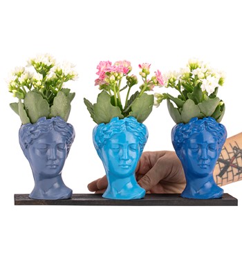 Trio Mini Helen Serisi Kalanchoe Tasarım - Blue Colors