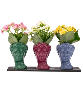 Trio Mini Helen Serisi Kalanchoe Tasarım