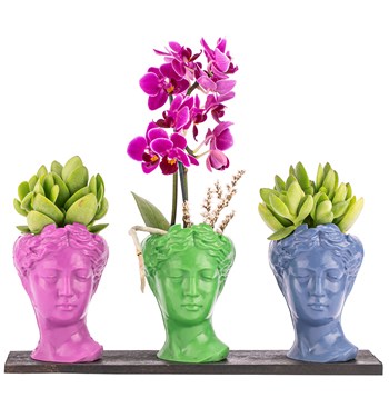 tek dal orkide tasarım