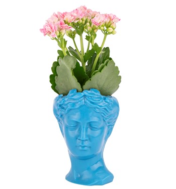 Mini Helen Serisi Kalanchoe Tasarım - Turkuaz Mavi 