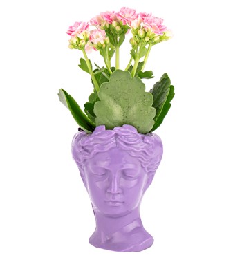 Mini Helen Serisi Kalanchoe Tasarım - Lila