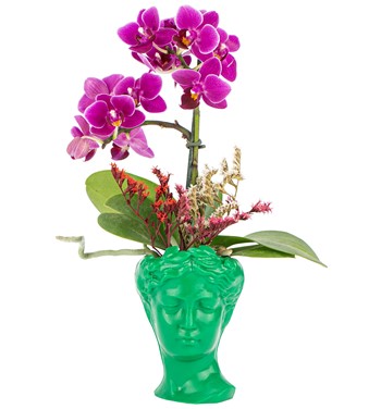 Mini Helen Serisi Tek Dal Orkide Tasarım - Yaprak Yeşili