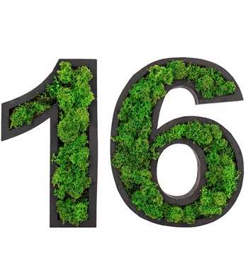 Kişiye Özel 2'li Rakam Saksıda Solmayan Dried Preserved Moss