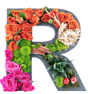 özel harf gül sukulentler