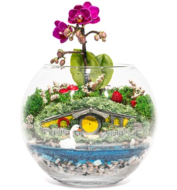 mini orkide model ve çeşitleri