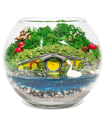 teraryum renkleri ve çeşitleri