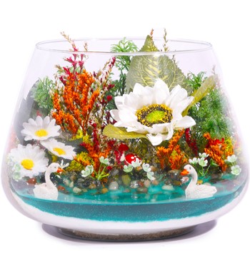 SunFlower Beyaz Teraryum