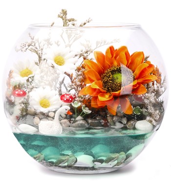 SunFlower Turuncu Teraryum