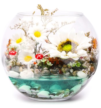 SunFlower Teraryum Beyaz