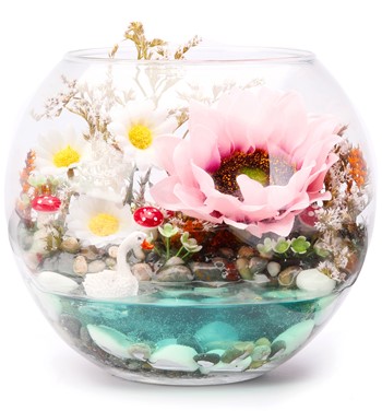 SunFlower Teraryum Pembe