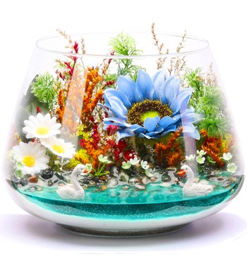 SunFlower Mavi Teraryum