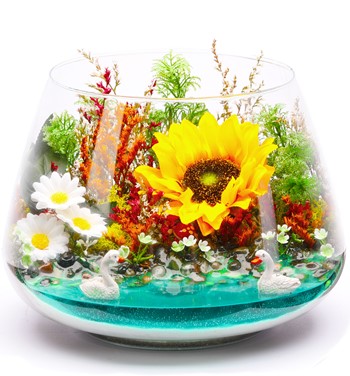 SunFlower Teraryum Sarı