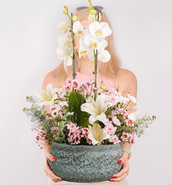 Magnificent Orkide Lilyum