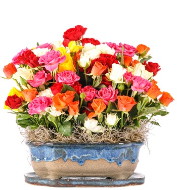 Art of Ceramic Series - Mix Mini Gül Tasarım