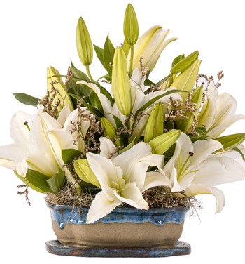 Art of Ceramic Series - İthal Lilyum Tasarım