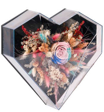 Light Rainbow Solmayan Gül Tasarım