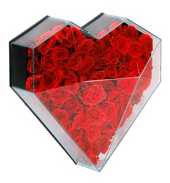 Kırmızı Mini Gül Tasarım