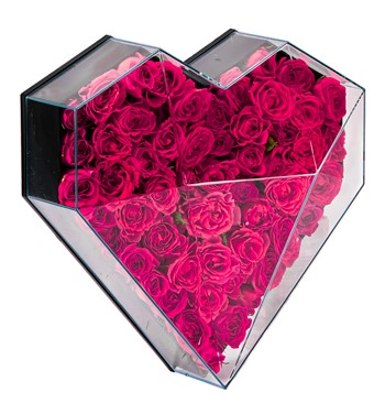  Fuşya Mini Gül Tasarım