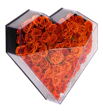 Turuncu Mini Gül Tasarım