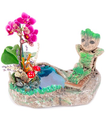 Groot Tatilde Serisi Mini Orkideli Teraryum