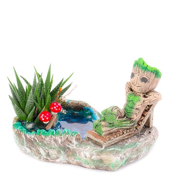 Groot Tatilde Serisi Haworthia Teraryum