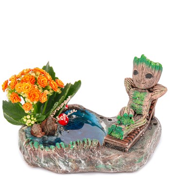 Groot Tatilde Serisi Kalanchoe Tasarım