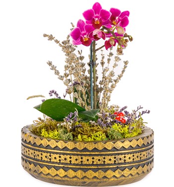 Ring Serisi Mini Mor Orkide