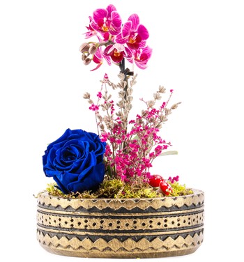 Mini Orkide ve Solmayan Gül