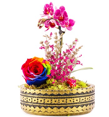 Mini Orkide ve Solmayan Gül