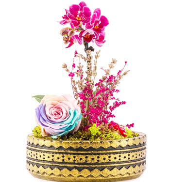 Solmayan Gül ve Orkide 