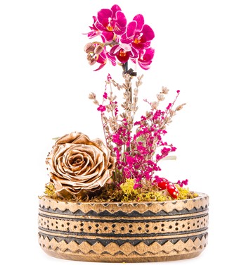 Orkide Solmayan Gül