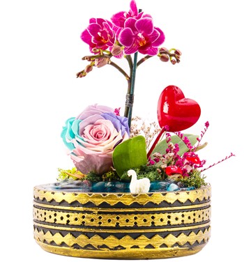 Mini Orkide ve Solmayan Gül