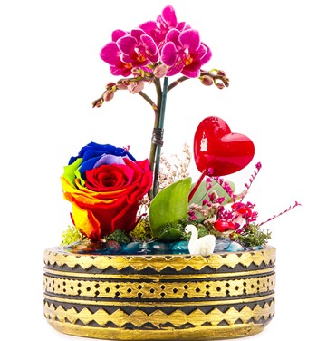 solmayan gül ve orkide