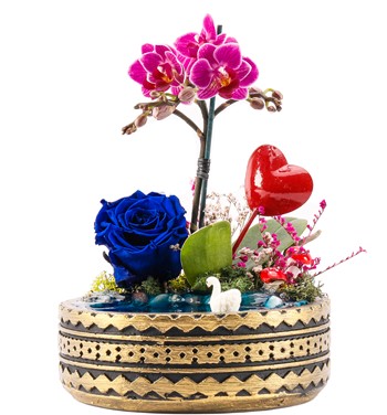 Orkide Solmayan Gül 