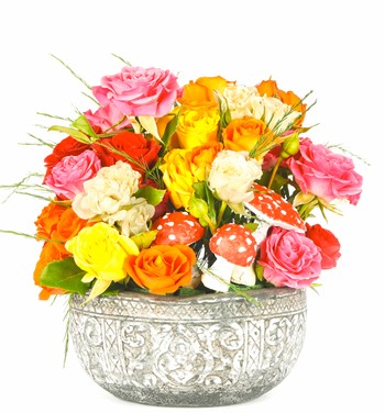 Kayıp Hazineler Serisi Mix Mini Gül Tasarım - Mushroom Editi