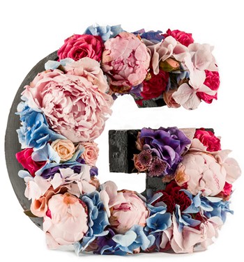 Kişiye Özel Harf Saksıda Mix İthal Şakayık - Ortanca 