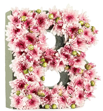 Kişiye Özel Harf Saksıda Krizantem Tasarım