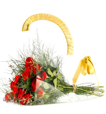 Şeffaf Taşıma Çantasında Kırmızı Mini Gül Buketi