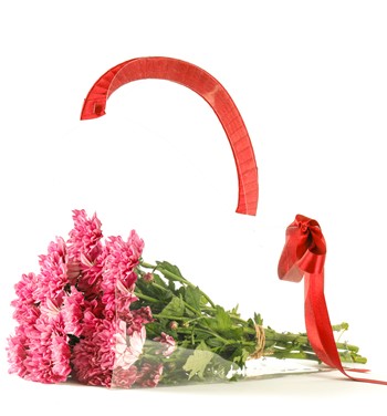  Şeffaf Taşıma Çantasında Pembe Krizantem Buketi