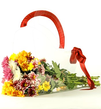 Şeffaf Taşıma Çantasında Mix Krizantem Buketi