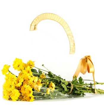 Şeffaf Taşıma Çantasında Sarı Krizantem Buketi