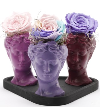 Trio Mini Helen Serisi Solmayan Gül Tasarım - Siyah Kaide