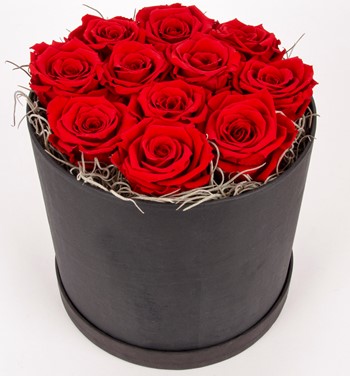 kutuda solmayan güller