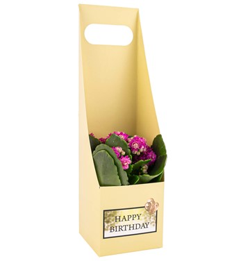 çeşit çeşit hediyelik çiçekler