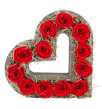 kalp saksıda solmayan kırmızı gül