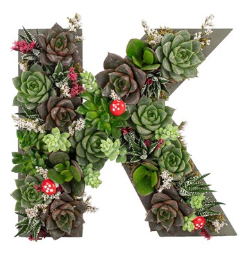 özel harf saksıda sukulent